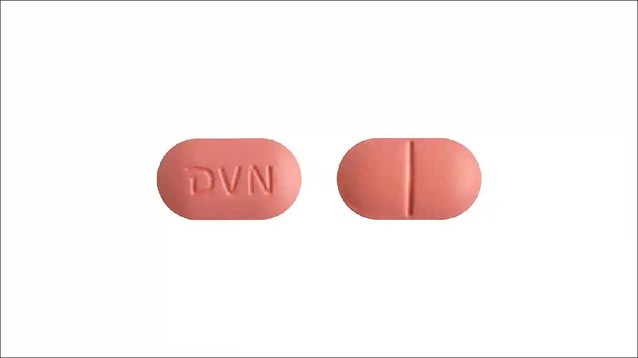 마노엘정 2