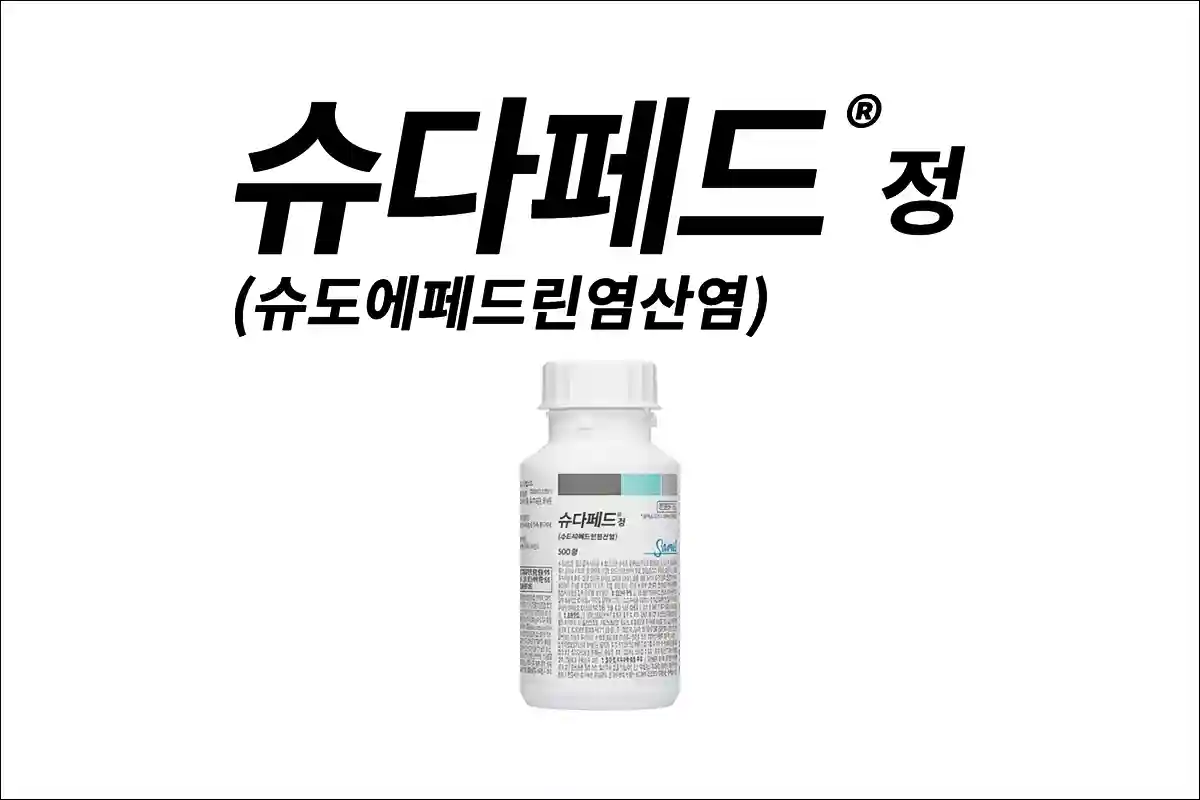 슈다페드정 1