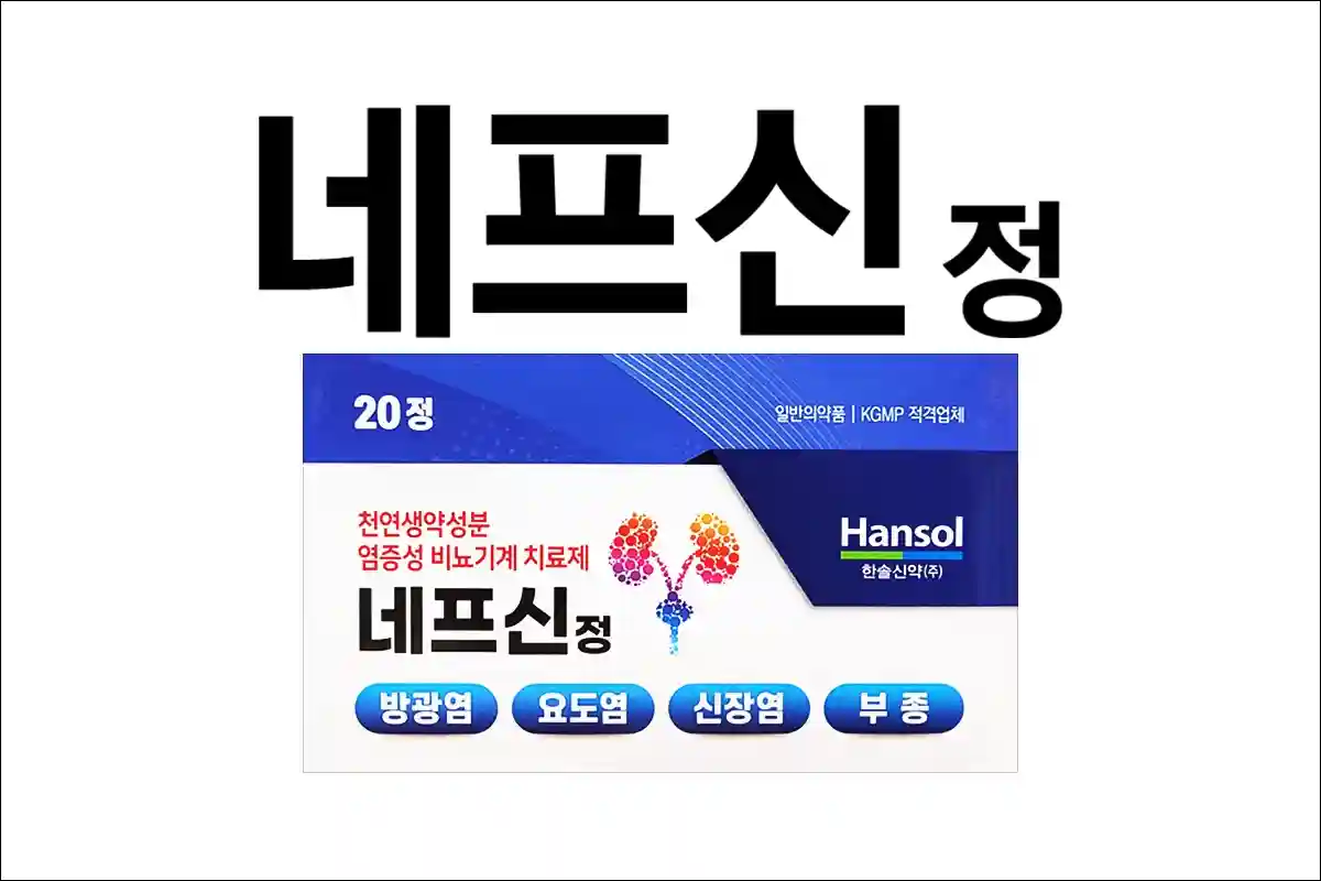 네프신정 1
