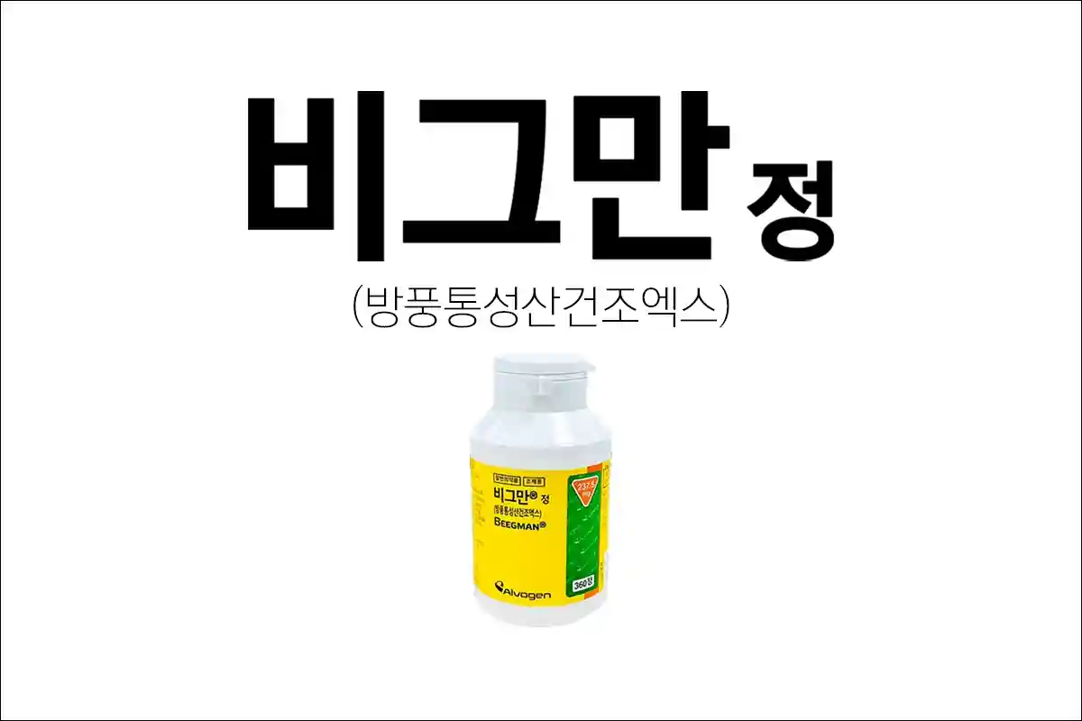 비그만정 효능 효과 부작용 다이어트약 비만약 체중감량 방풍통성산건조엑스
