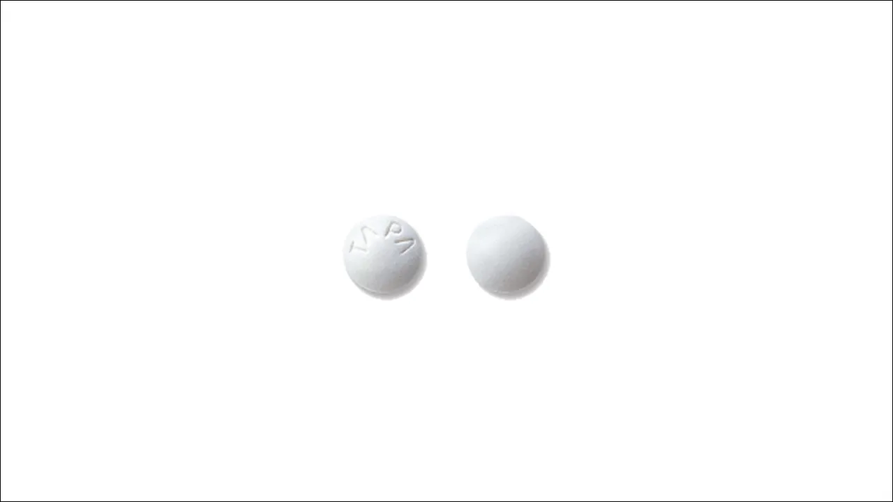타파정 2