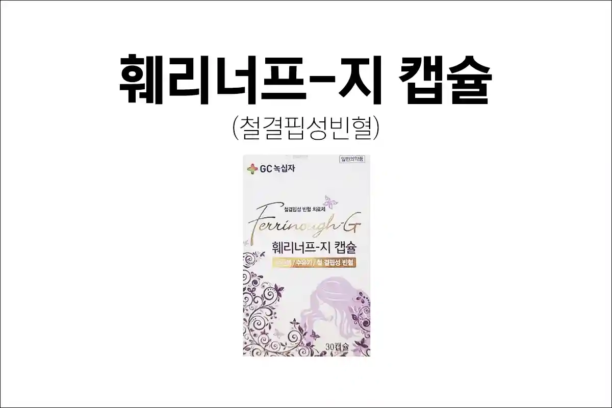 훼리너프지캡슐 효능 효과 부작용 임산부 수유기 철결핍성 빈혈