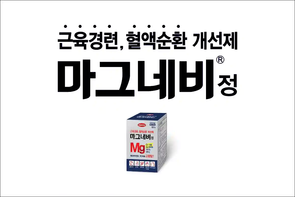 마그네비정 1
