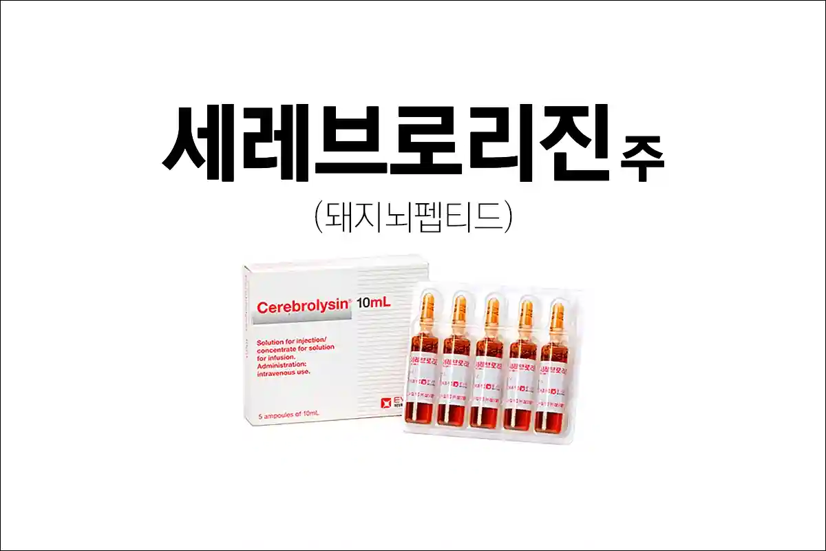 세레브로리진주 1