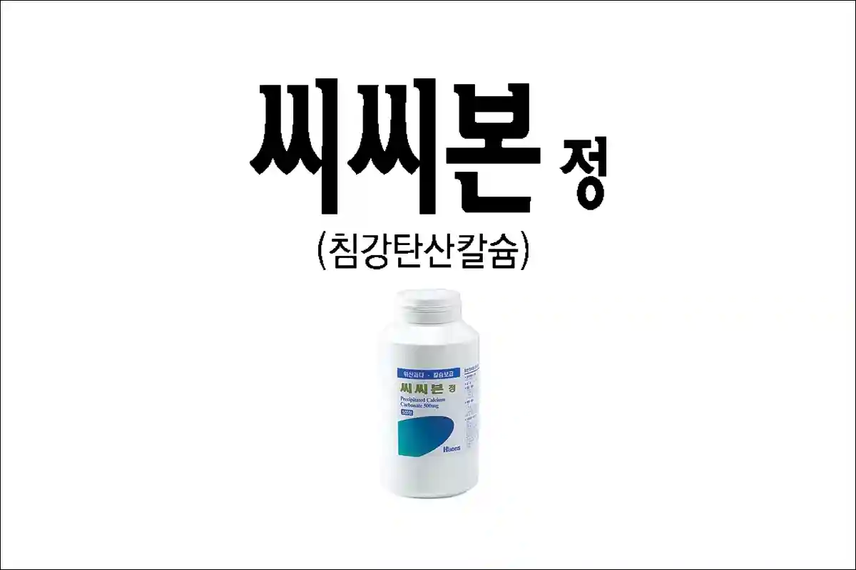 씨씨본정 1