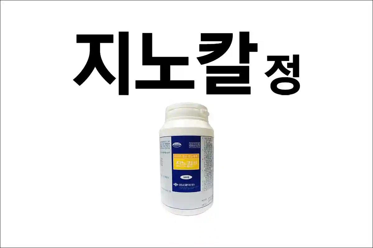 지노칼정 1