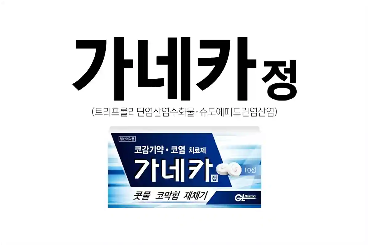 가네카정 1