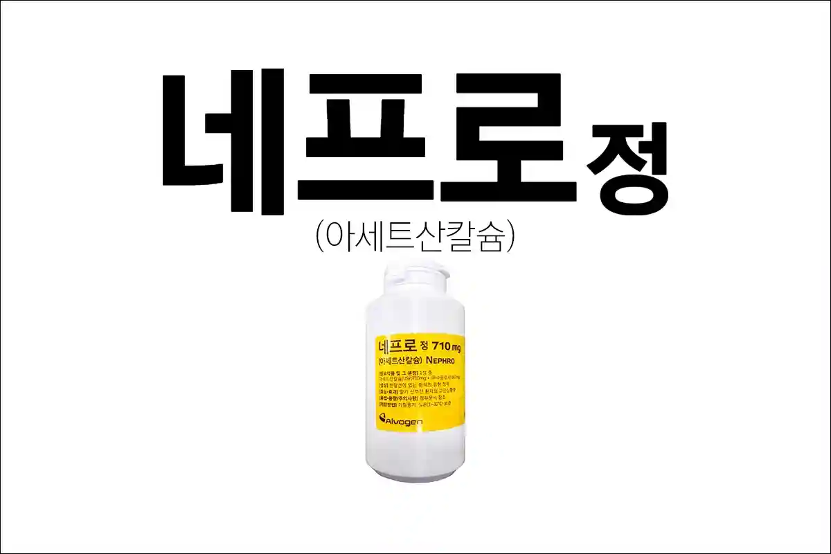 네프로정 1