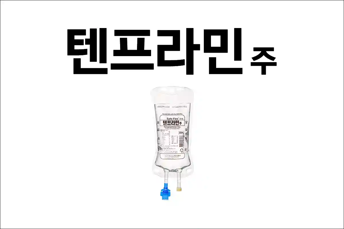 텐프라민주