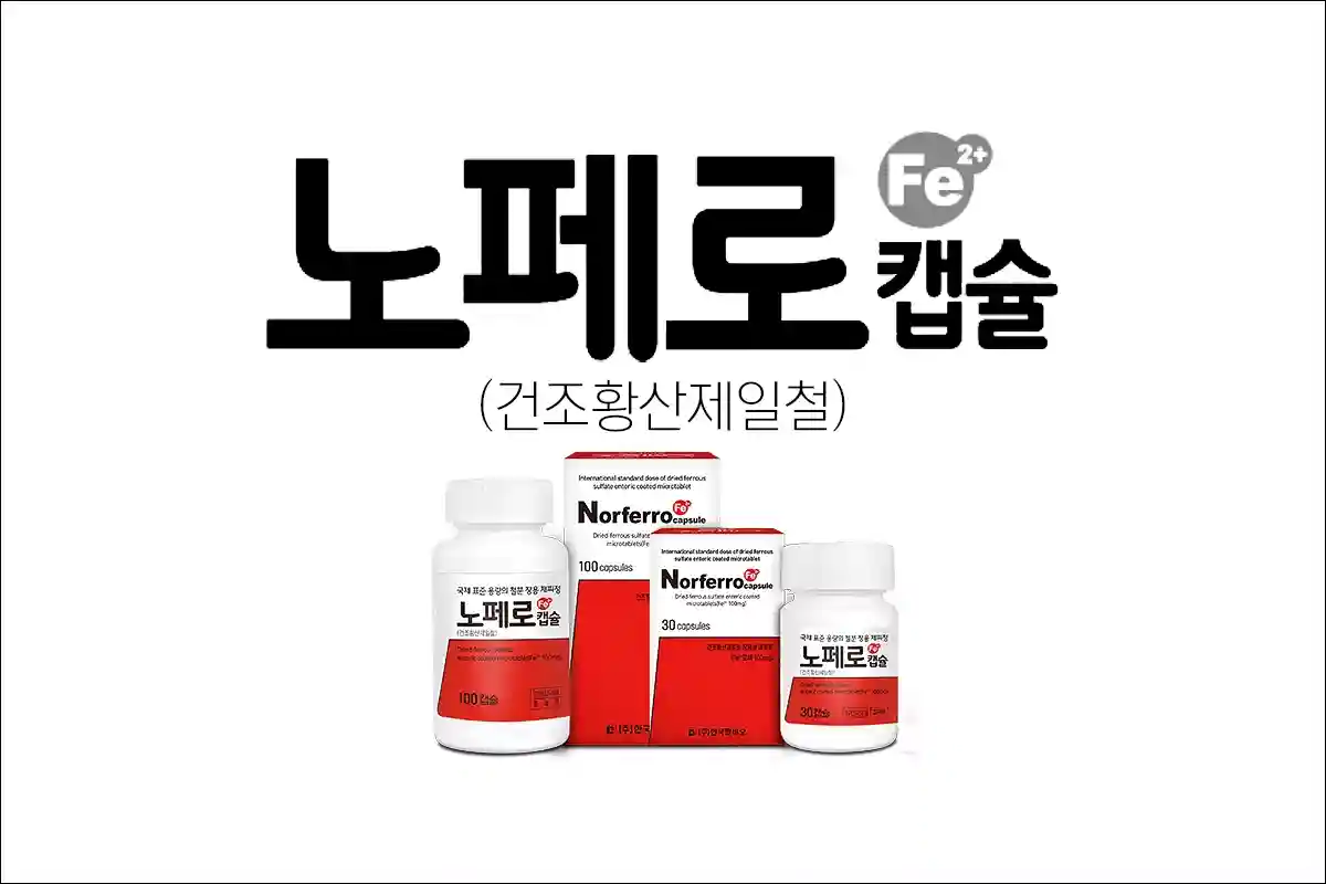 노페로캡슐 가격 효능 효과 부작용 건조황산제일철 철 결핍성 빈혈치료제 빈혈약
