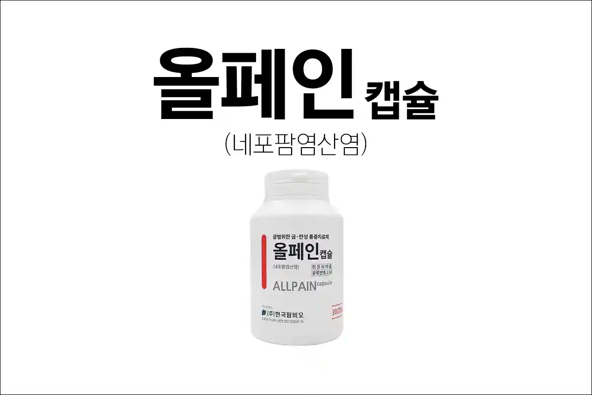올페인캡슐 효능 효과 부작용 네포팜염산염 진통제 중증통증 급성만성 통증