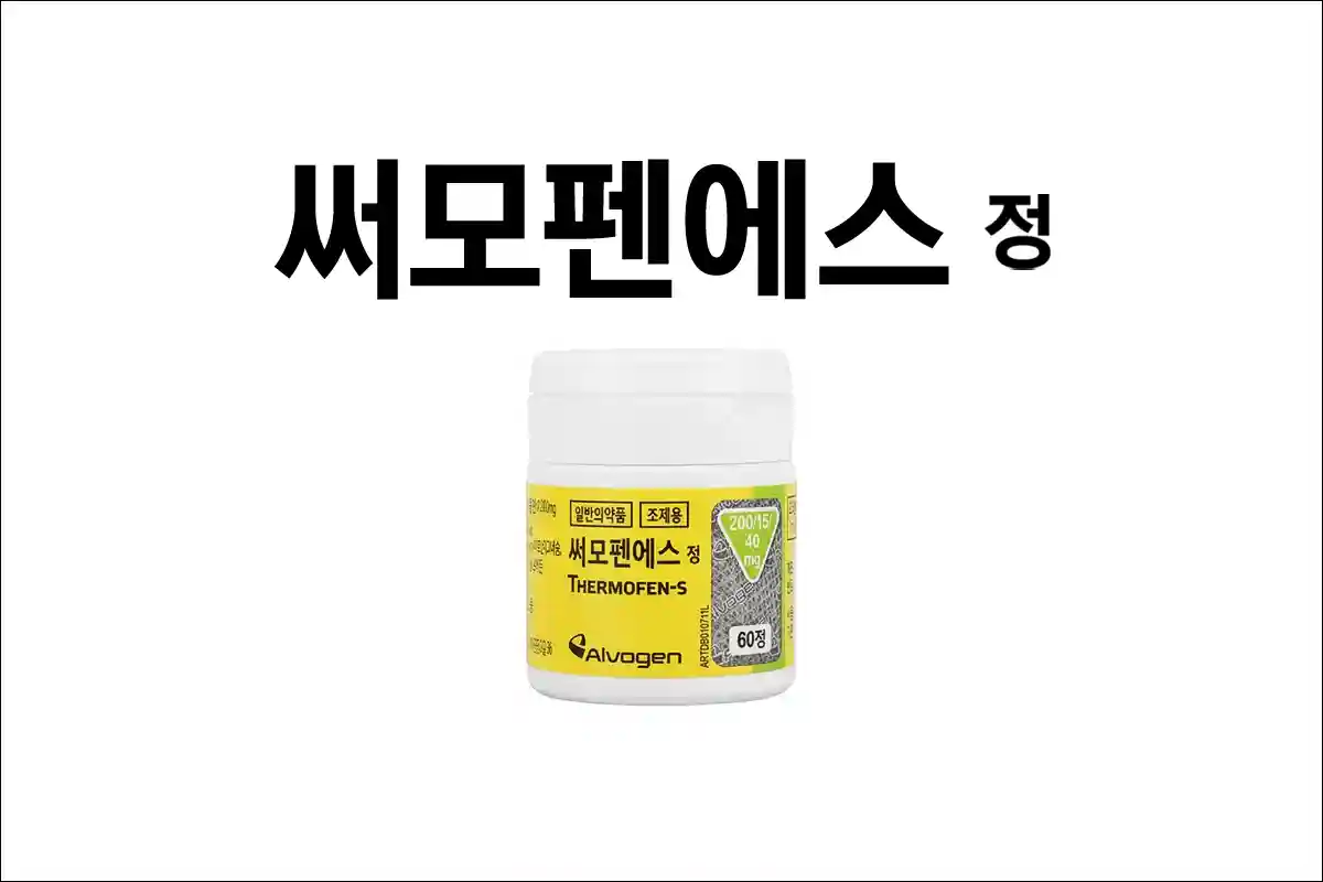 써모펜에스정 1 써모펜에스정 1