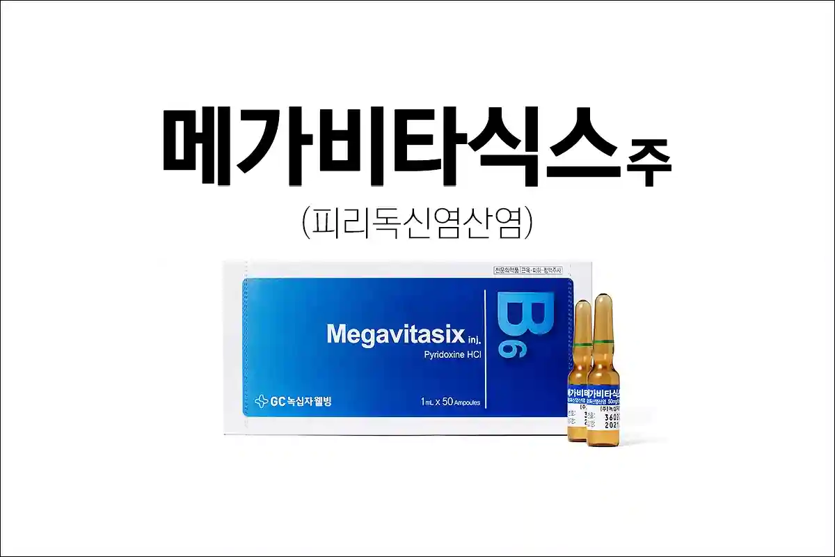 메가비타식스주 1