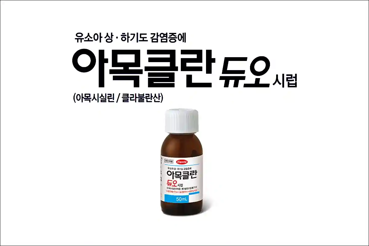 아목클란듀오시럽 1