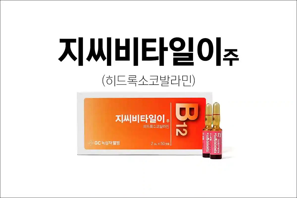 지씨비타일이주 1