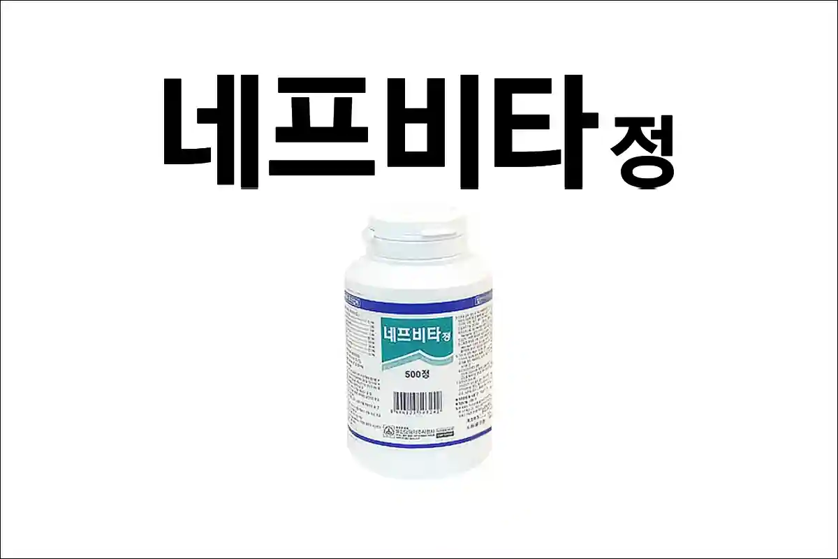 네프비타정 효능 효과 부작용 비타민 B 비타민 C 비타민영양제 비타민제