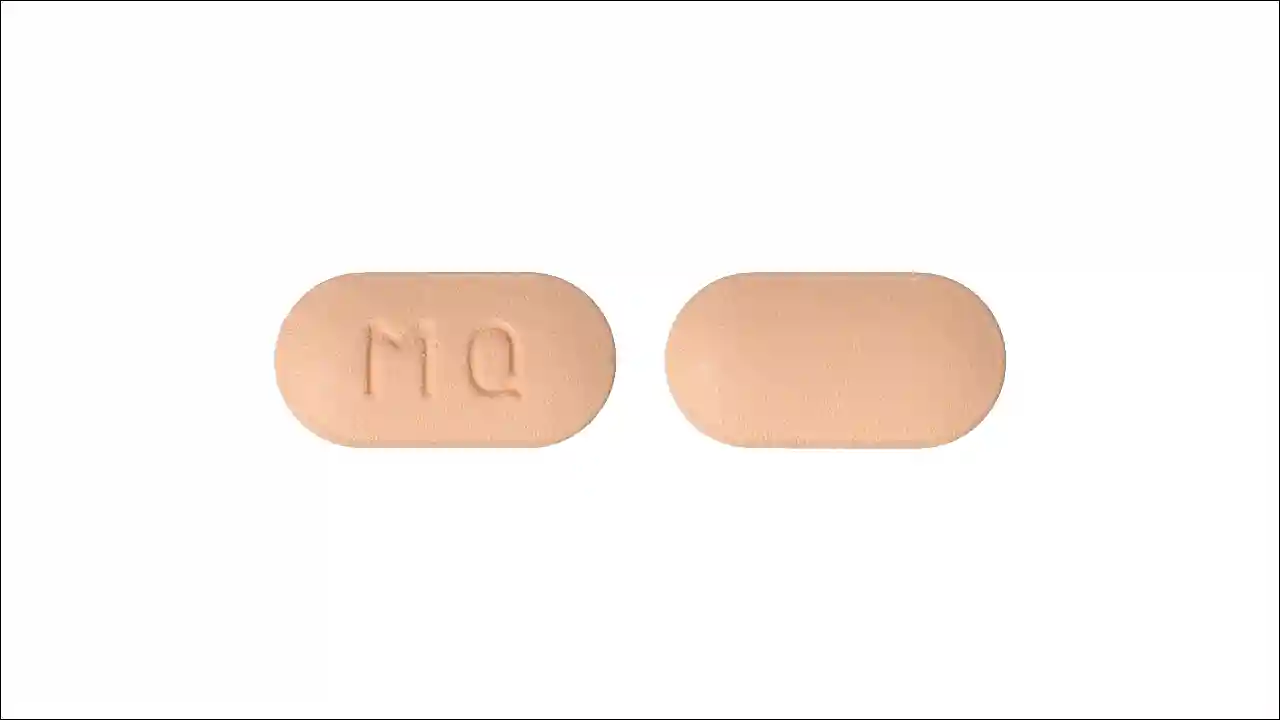 마이칼큐정2 마이칼큐정2