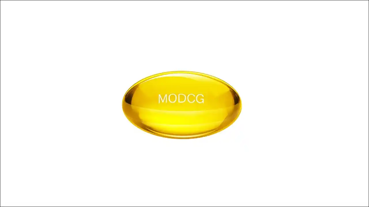 모드콜S2