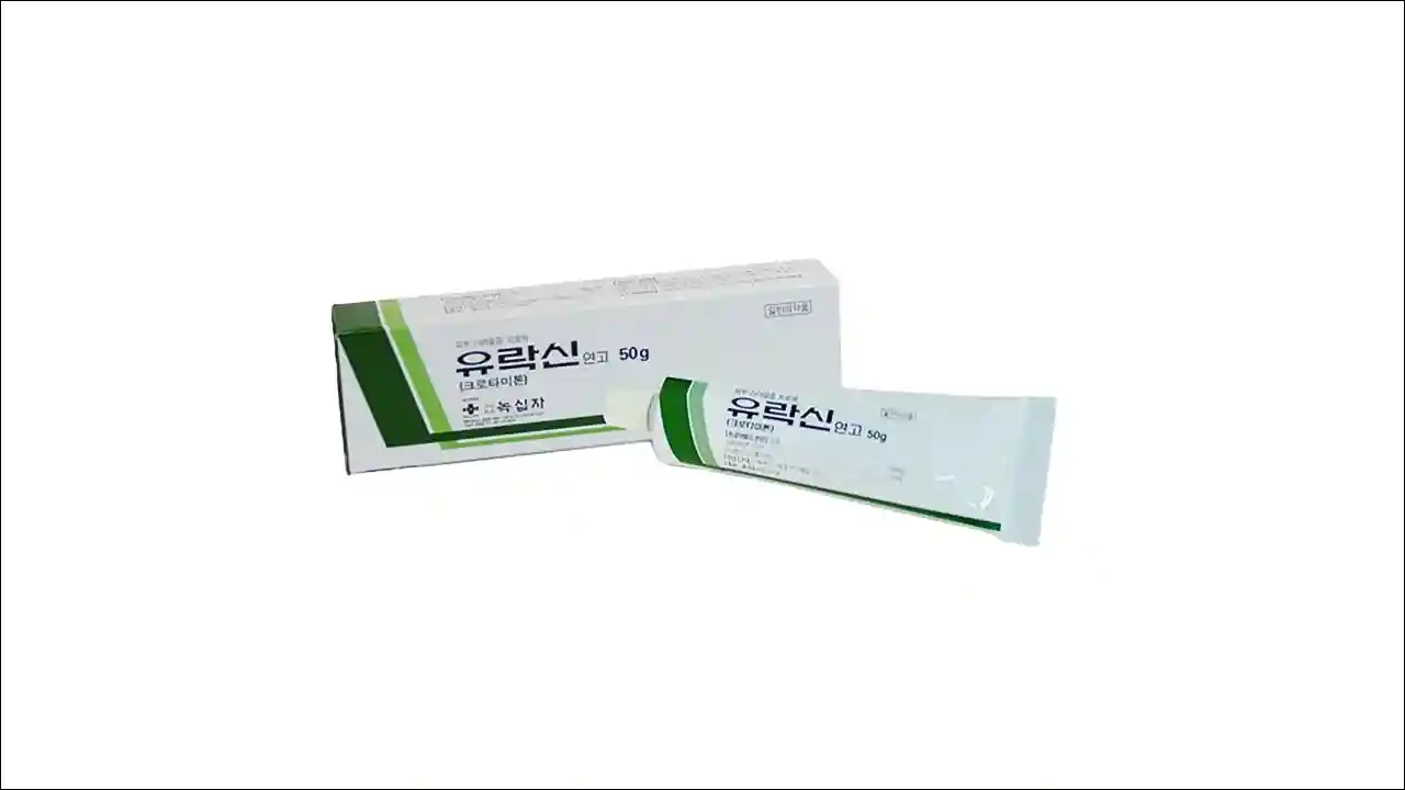 유락신연고2 유락신연고2